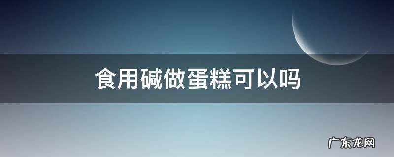 食用碱做蛋糕可以吗