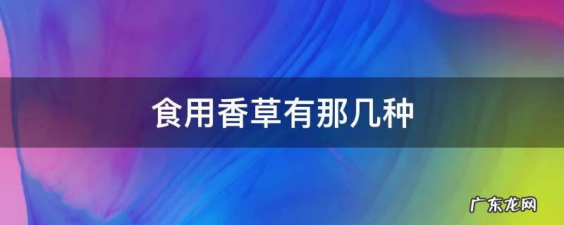 食用香草有那几种
