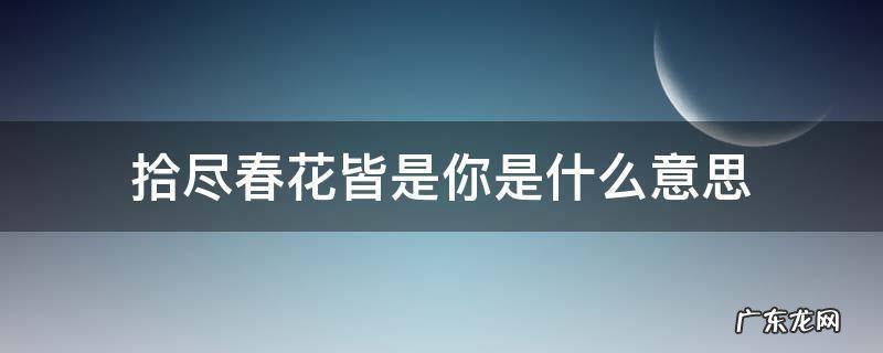 拾尽春花皆是你是什么意思