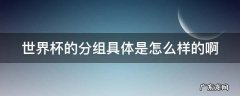 世界杯的分组具体是怎么样的啊