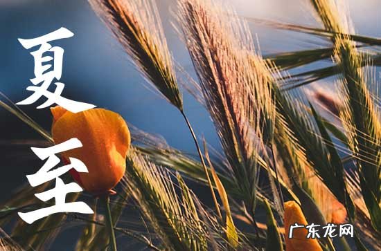 120句 夏至节气唯美说说