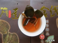 人工金线莲多少钱一斤,人工金线莲怎么卖？人工种植的金线莲怎么卖呢？