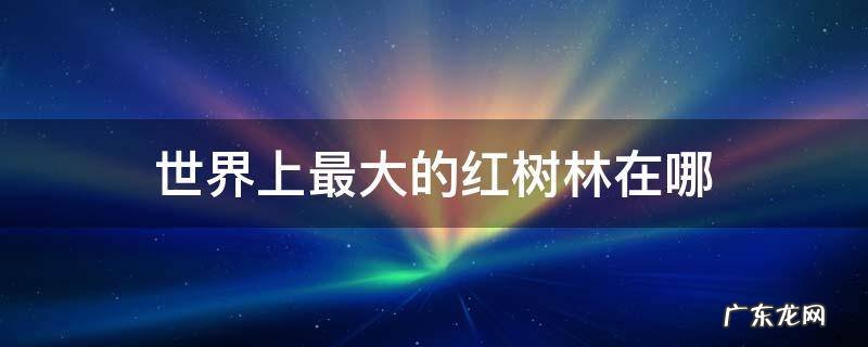 世界上最大的红树林在哪
