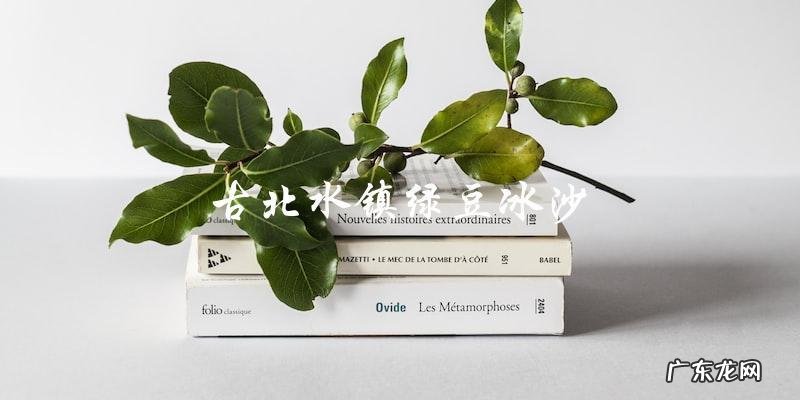 古北水镇必喝的清凉饮品:绿豆冰沙