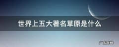 世界上五大著名草原是什么