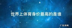 世界上体育身价最高的是谁