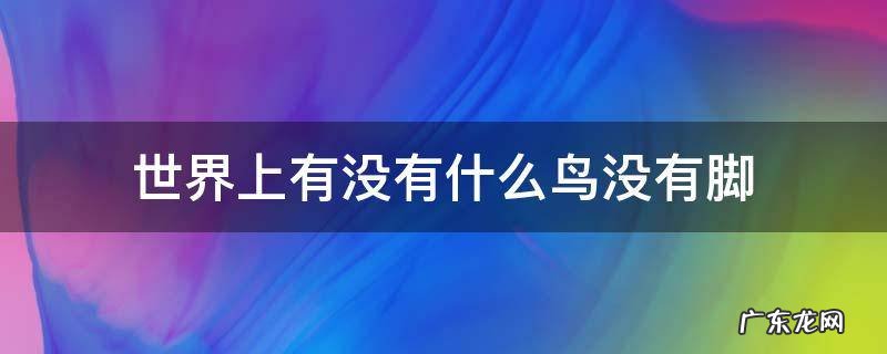世界上有没有什么鸟没有脚