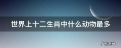 世界上十二生肖中什么动物最多