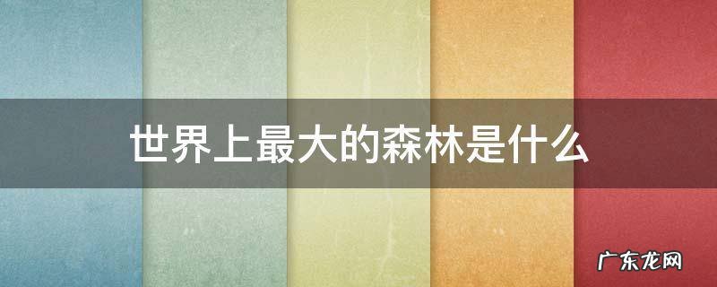 世界上最大的森林是什么