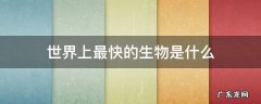 世界上最快的生物是什么