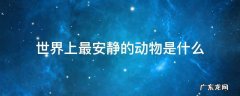 世界上最安静的动物是什么