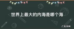 世界上最大的内海是哪个海