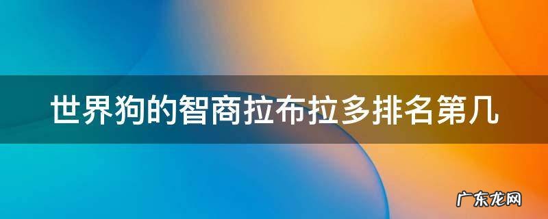 世界狗的智商拉布拉多排名第几