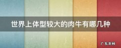 世界上体型较大的肉牛有哪几种