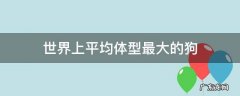 世界上平均体型最大的狗