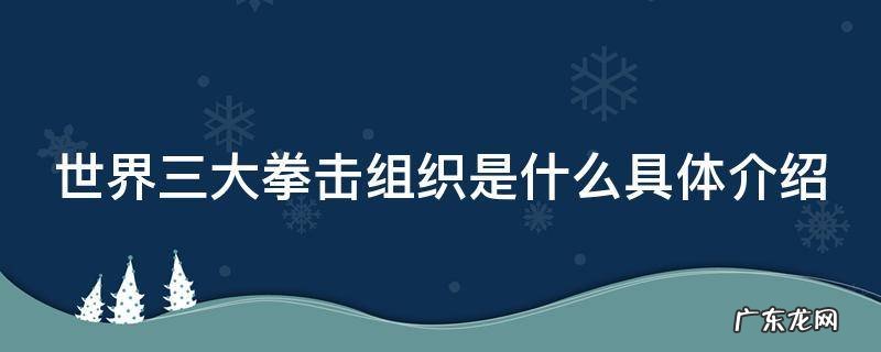 世界三大拳击组织是什么具体介绍