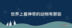 世界上最神奇的动物有那些