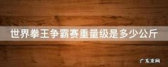 世界拳王争霸赛重量级是多少公斤