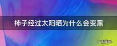 柿子经过太阳晒为什么会变黑