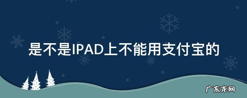 是不是IPAD上不能用支付宝的