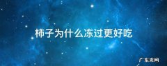 柿子为什么冻过更好吃