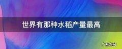 世界有那种水稻产量最高