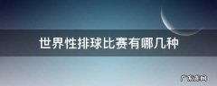 世界性排球比赛有哪几种