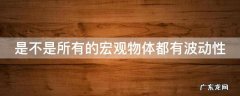 是不是所有的宏观物体都有波动性