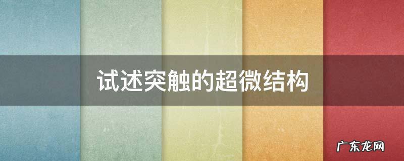 试述突触的超微结构