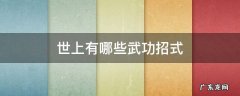世上有哪些武功招式