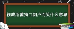 视成所蓄掩口胡卢而笑什么意思
