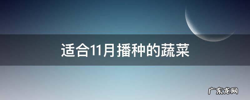 适合11月播种的蔬菜