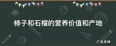 柿子和石榴的营养价值和产地