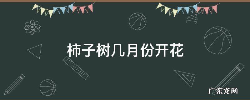 柿子树几月份开花