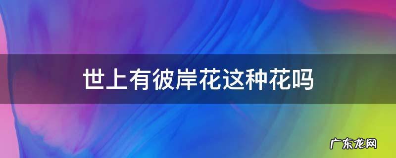 世上有彼岸花这种花吗