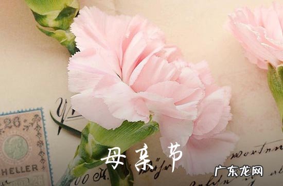 母亲节给老婆的一段真心情话 母亲节给老婆的一封信简短