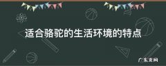 适合骆驼的生活环境的特点