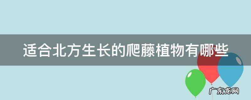 适合北方生长的爬藤植物有哪些