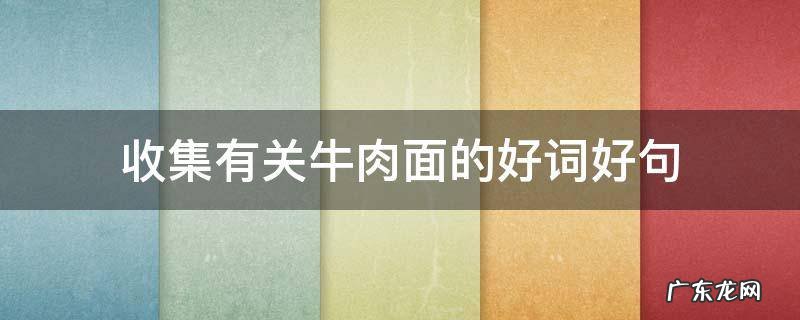 收集有关牛肉面的好词好句