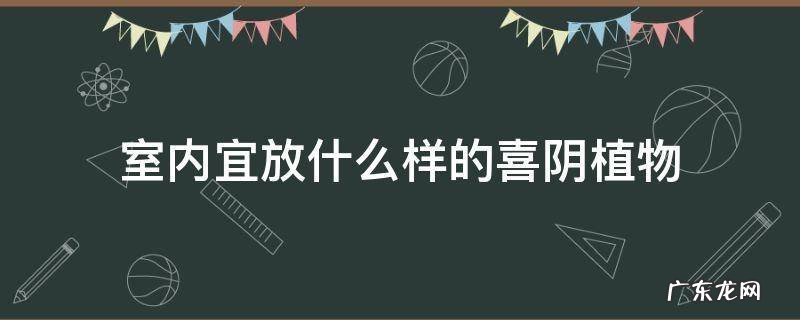 室内宜放什么样的喜阴植物