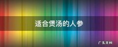适合煲汤的人参