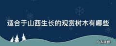 适合于山西生长的观赏树木有哪些