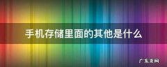 手机存储里面的其他是什么