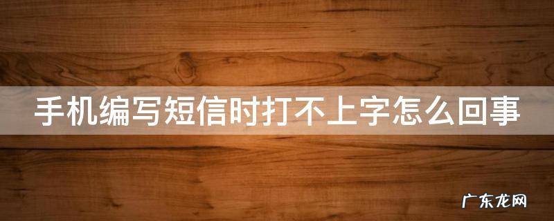手机编写短信时打不上字怎么回事