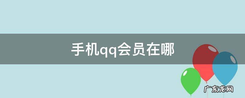 手机qq会员在哪