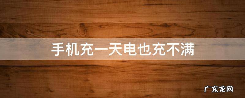 手机充一天电也充不满
