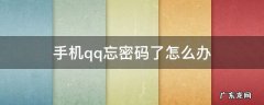 手机qq忘密码了怎么办