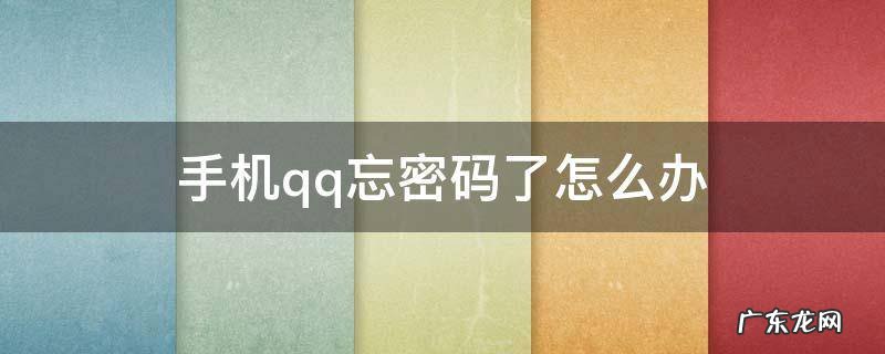手机qq忘密码了怎么办