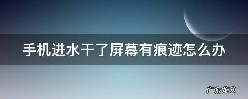 手机进水干了屏幕有痕迹怎么办