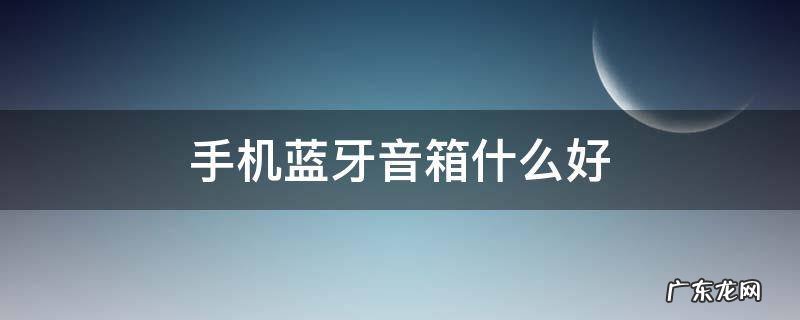 手机蓝牙音箱什么好